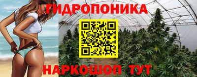 шишки Среднеуральск