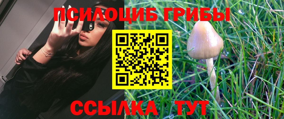 Галлюциногенные грибы GOLDEN TEACHER Липецк